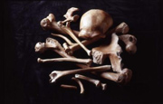 Knochenhaufen
Neanderthaler 1856
(c) Neanderthal Museum
